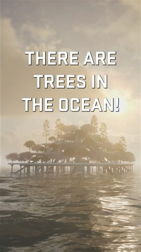 TREES IN THE OCEAN? The Eden Platform is just the start in The Last Caretaker!