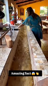 81K views · 355 reactions | amazingfacts, worldfacts,...