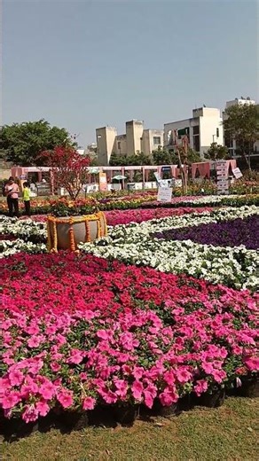#🌺 More than 5000 flower varieties in one grand exhibition! Nature at its best!