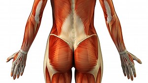 Tip: The Ultimate Glute Warm-Up