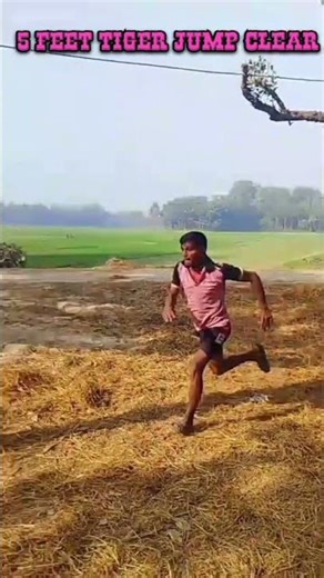5 Feet Tiger jump clear matlab har gya aapka hero ab kya krega aapka hero