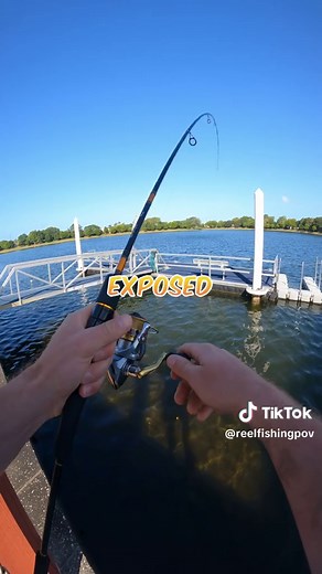 Pontoon Fishing 🎣Tip: Save your lures from the carpet trap When chasing bream or just flicking around pontoons in general, ditch those regular jig heads that love to snag up in the carpet. Opt for a smarter approach: rig weedless! & With a weedless setup, even if your lure lands on the carpet, it just glides off without a hitch. No more frustrating snags! Watch me in action as I demonstrate this simple yet effective trick. Whether you're a seasoned angler or a beginner, this tip will keep your