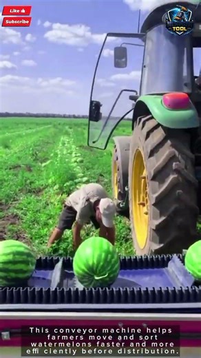 Conveyor Machine Tool Watermelon Sorting Fast Farming#tool