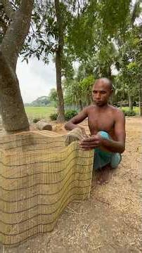 Amazing Bamboo Fish Trap Making | Traditional Fishing Trap Craftsmanship #bamboocraft