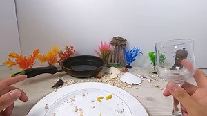 What’s your favorite fish? XD Thanks for watching. My videos are fun and relaxed with sound and special video editing. This video is fictional using CG and ASMR. [I use direct recording, copyright free, and paid music that I paid license.] | Monster Meal ASMR