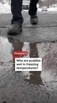 Why are puddles wet in freezing temperatures?