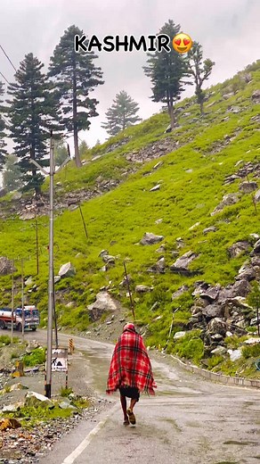 319K views · 21K reactions | BOOK YOUR KASHMIR TRIP 9797980094 . . . . Vc @samir_kashmiri_ #kashmir#green#roadtrip#glacier#view#natureloversgallery #nature#kashmiri#viral#bollywood#snow#snowfall#naturephotography #sonamarg #gulmarg#pahalgham#dallake#malani#kulumanali#swithzerland#dubai#iphone#2025#lovers | Samir Kashmiri | Facebook