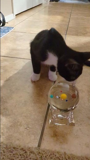 Mozart's Toy Museum: Day 63 - Solar System Crystal Ball