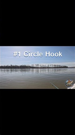 How Many Seconds Before the Bite?