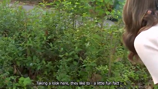 207K views · 328 reactions | An invasive species has been spotted in...