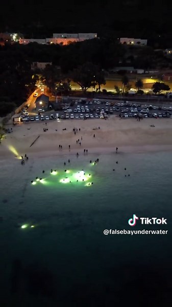 What an unforgettable evening, 151 divers in the water exploring the magic of False Bay after dark! 💙🤿 From electric rays and curious octopus to box jellyfish, pyjama sharks, and even tiny pygmy sea hares, the ocean truly showed off last night. ⚡🐙✨ Thank you to everyone who joined us and made the night one to remember! 📸:@Dive Team Cape Town #InternationalDiversNight #FalseBayUnderwaterClub #NightDive #ScubaDiving #OceanMagic