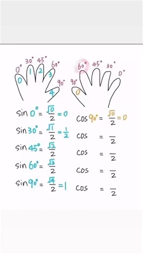 Trigonometry on Your Fingers | Visual Learning Trick