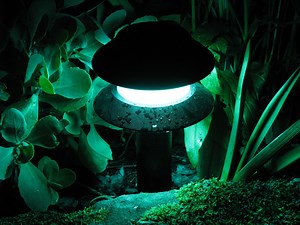 LED Garden Path Lights