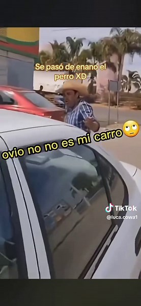 Se pasó de enano el perro XD#parati#foryou#random#resubanlo#noflop | Animals Funny Video