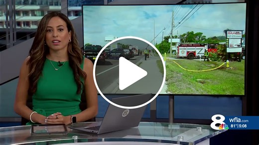 Crews contain brush fire in wooded area in Pinellas County - NewsBreak