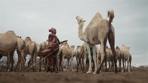 Village Enterprise on Reels