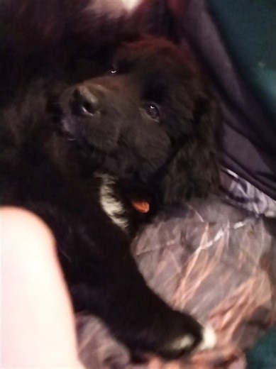 S ✝️ (@..a..l79)’s videos with original sound - 🫥