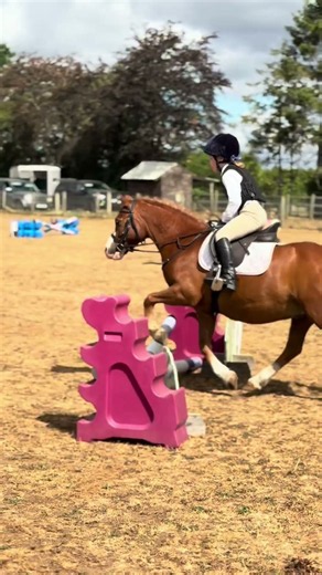 Pony Club Camp 2026 - Day 3! #ponyclub #ponies #horses #fun #kids #kidscamp