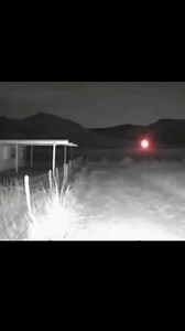 #paranormal #UAP #orbsoflight #aliens #UFO #extraterrestrial #WeAreNotAlone #nonhuman | Alien World