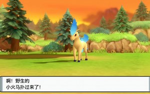 「BL」700次 BDSP闪光小火马