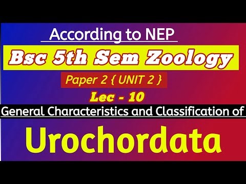 Urochordata | General Characteristics and Classification of Urochordata | #bsc5thsemester #zoology