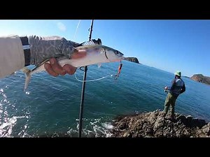 Rosslyn Bay Rock Fishing | Yeppoon | Catch and Release | QLD