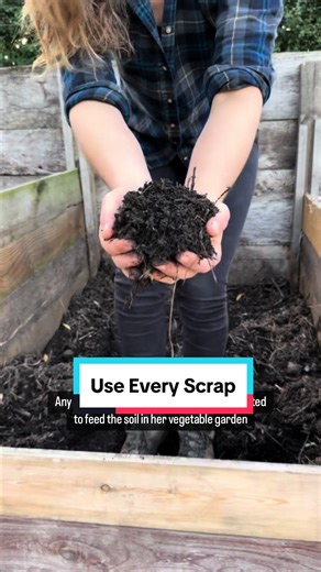 Eliminating Food Waste: Creative Kitchen Solutions