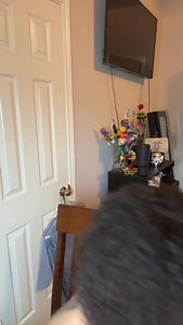 11K views · 1.7K reactions | This ain’t even my final form ✨ | Olivia Faythe | Facebook