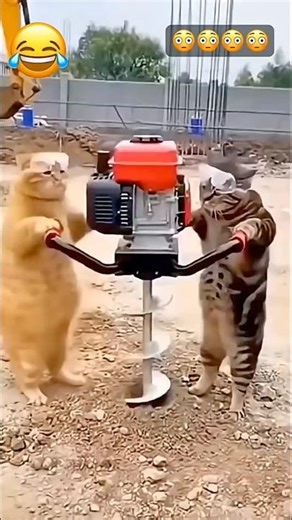 #montagem #newgadgets