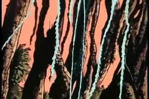 1979. Flash Gordon ep. 1 | Cultura Retro El Salvador. Juguetes y Mas.