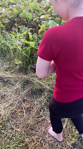 Amazing Eel Trapping Skills | Survival with Emma