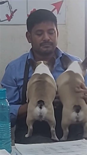 #comedy #youtubeshorts