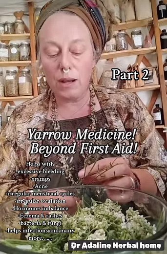 Use of Yarrow for Women's Reproductive Health