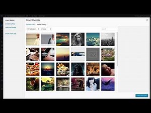 16 WordPress 101 Using Media Library Video Lecture | WORDPRESS Premium- Tools and Tips - IT and Software