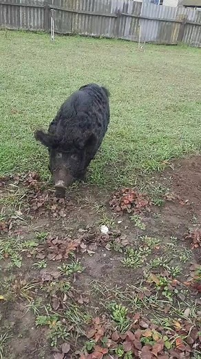 user6526924887467 on TikTok