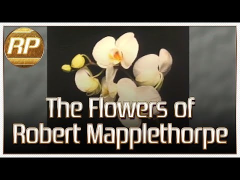 The Flowers of Robert Mapplethorpe (Philips CD-i) Complete Exhibition