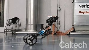 New bioinspired robot flies, rolls, walks, and more