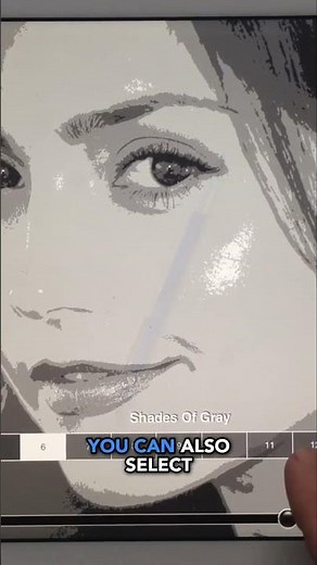 Unlock Stunning Visuals CameraLucida 8 0 Tutorial for Perfect Gray Shades!