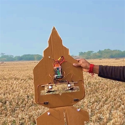 Creative SM on Instagram: "DIY Jet Plane with BLDC Motor | Powerful Cardboard Fighter Jet #shorts #airplane #trending #project #diyprojects"