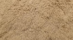 Shannon Fabrics-luxurious Cuddle Minky Fabric With a Soft, Shaggy Texture 30mm Pile- Carmel Color- Max 1 Yd Cut - Etsy