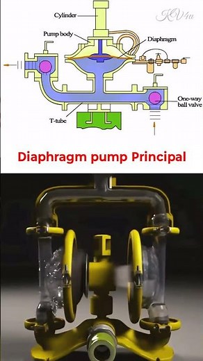Diaphragm Pumps: The UNSUNG HEROES of Fluid Transfer You NEED to Know!