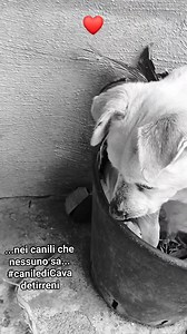 93K views · 2.1K reactions | AGGIORNAMENTO...