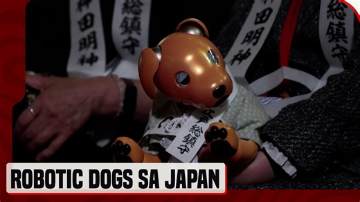 Kinaaliwan ng ilang residente ang mga robotic dog na nakasuot ng Kimono para sa selebrasyon ng "Shichi-Go-San." Dumalo ang mga robotic dog owner sa isang seremonyang isinagawa sa Kanda Shrine sa Tokyo. "Aibo has become part of my family, and I truly love it and treat it like a child, so I come here to pray for this child's growth at the Shichi-Go-San festival," ayon sa isang residente. #News5 | via Reuters | News5