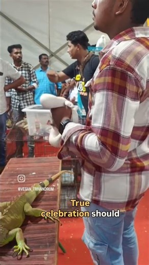 What We Saw at Kanakakunnu Onam Fest 🎉🌱💔