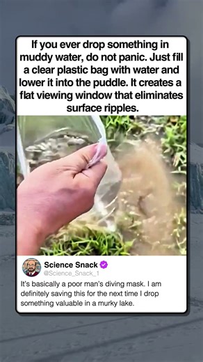 PHYSICS LIFE HACK FOR LOST ITEMS