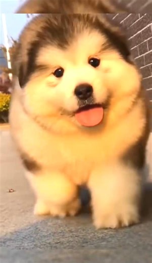 #facebookrealscontest #facebook #facebookreals #funny #fun | Models For You | Facebook