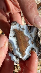 7K views · 264 reactions | These are some of the most beautiful agates I have seen in so long. I love Arizona. My newest YouTube video talks a little bit about where I found these. and the minerals I found on this trip I will be putting up for sale. #Agate #Arizona #Geologist #Mineral #Epic #PictureJasper #Agatejasper | Elley Knows Rocks | Facebook