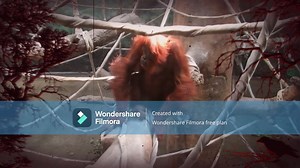 Beastly HMV: Monster Mash