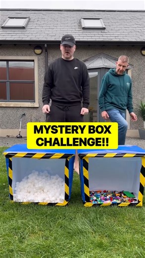 Mystery Box Challenge (DK Edition) #funny #challenge #shorts #prank
