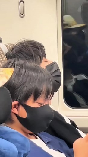 Wang Lujie and His Brother: A Handsome Duo